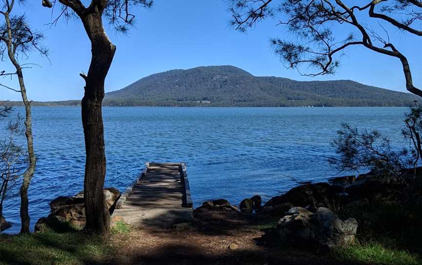 Queens Lake Nature Reserve, Jolly Nose, NSW
