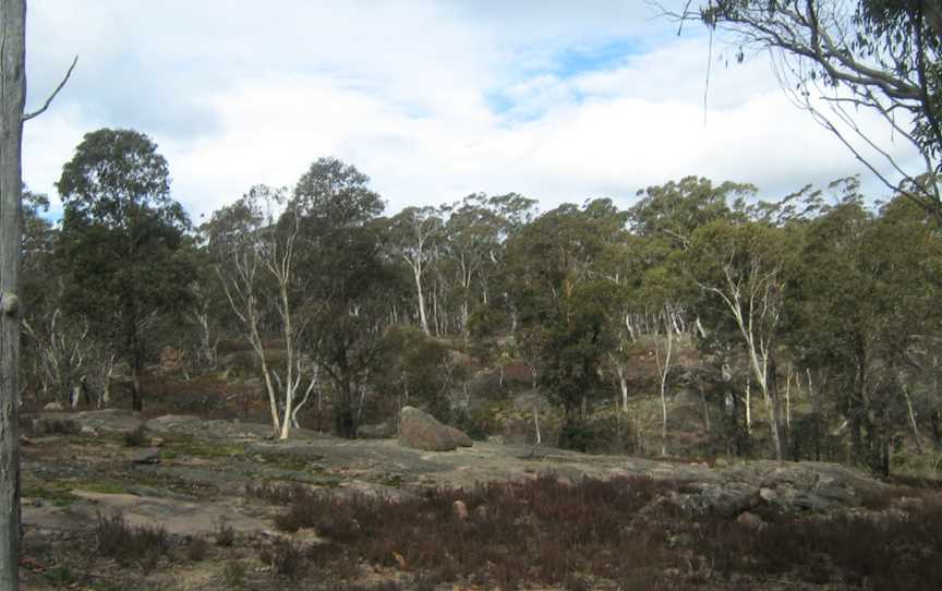 Kanangra-Boyd National Park, Kanangra, NSW