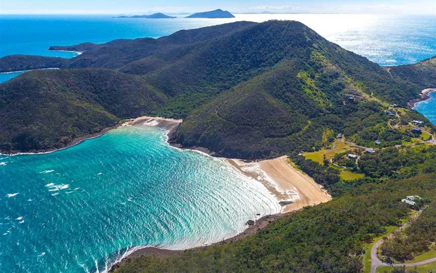 Birdwatching on Keswick Island, Keswick Island, QLD