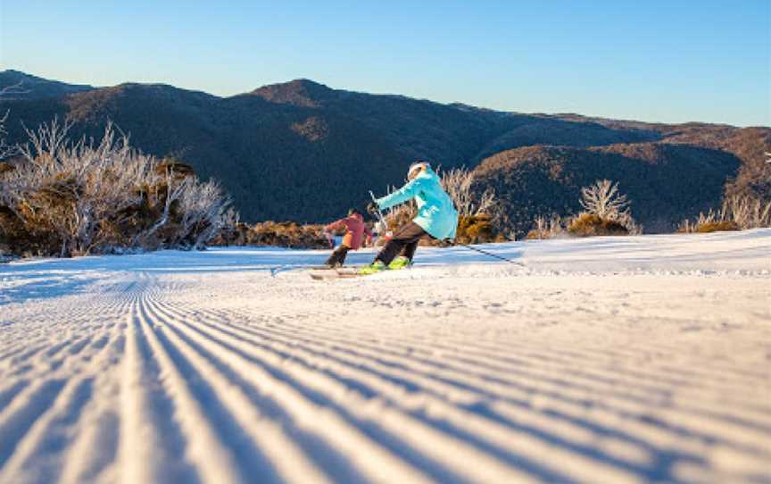 Cannonball Downhill Trail, Thredbo, NSW