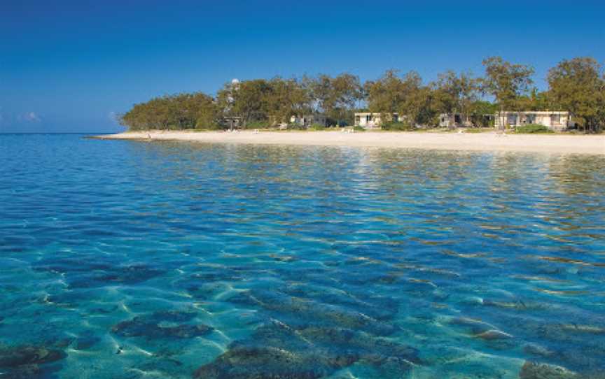 Maori Wrasse Bommie Dive Site, Lady Elliot Island, QLD