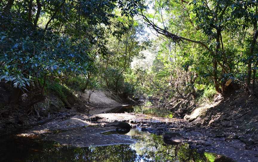 Lane Cove National Park, Chatswood West, NSW