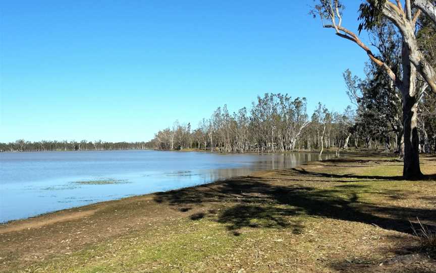 Lake Broadwater Conservation Park, Dalby, QLD