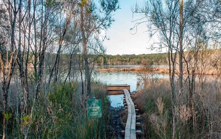 Pattimores Lagoon, Lake Conjola, NSW