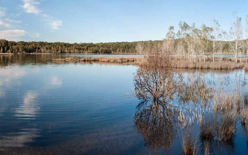 Pattimores Lagoon, Lake Conjola, NSW