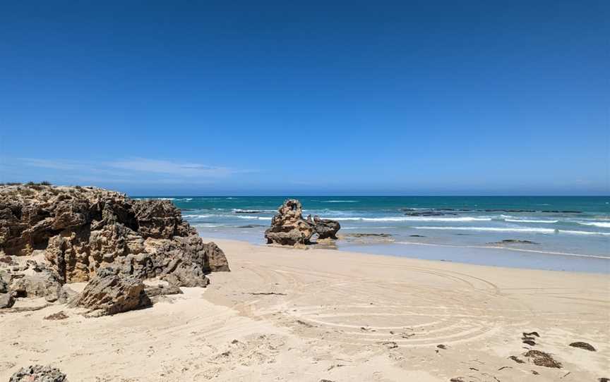 Beachport Conservation Park, Beachport, SA