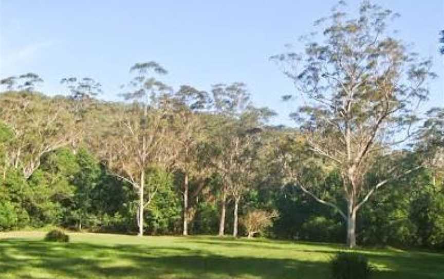 Red Cedar Flat picnic area, Lilyvale, NSW