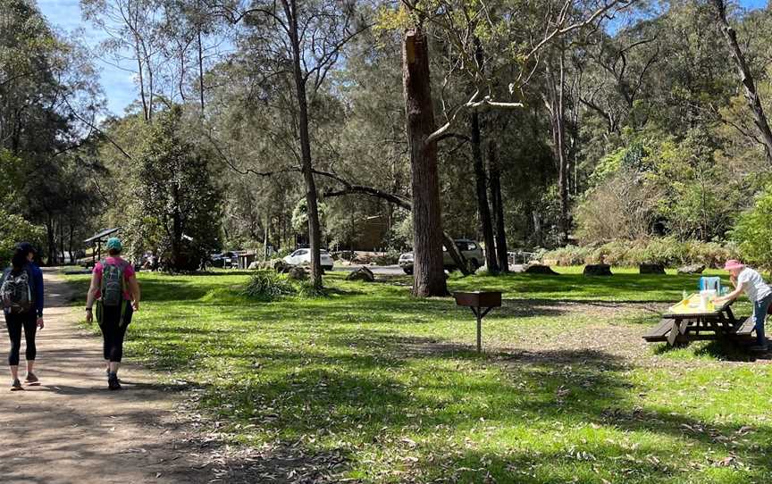 Casuarina Point picnic area, Lindfield, NSW