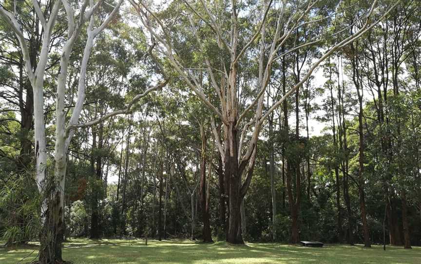 Macquarie Nature Reserve, Port Macquarie, NSW