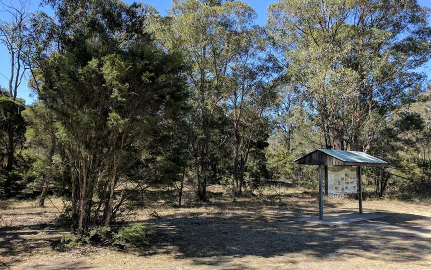 Astills picnic area, Lovedale, NSW