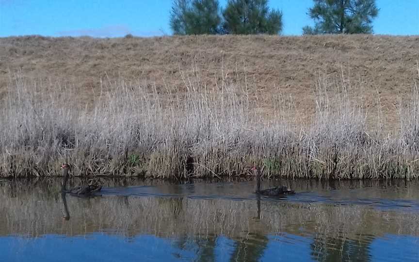 Everlasting Swamp National Park, Lower Southgate, NSW