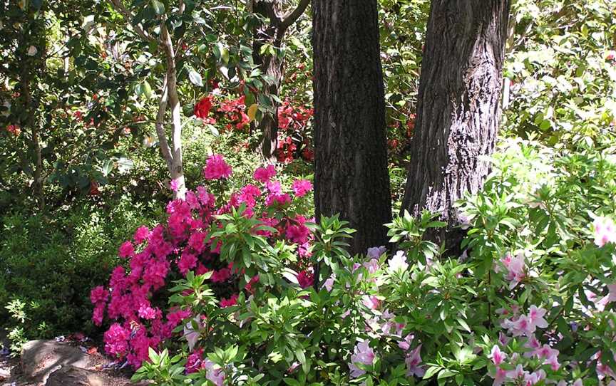 Wagga Wagga Botanic Gardens, Wagga Wagga, NSW