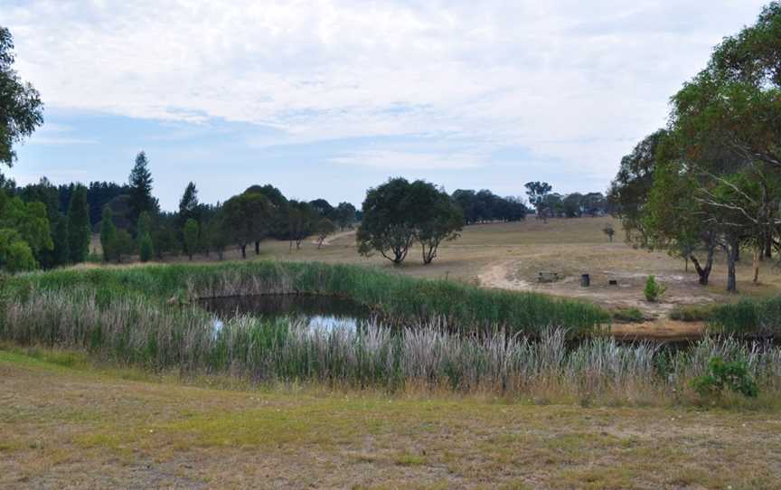 Macquarie Woods Recreation Area, Vittoria, NSW