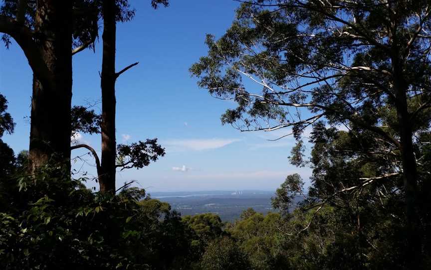 Muirs lookout, Martinsville, NSW