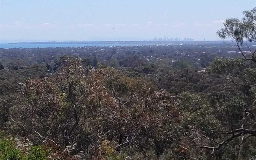 The Pines Flora and Fauna Reserve, Frankston North, VIC