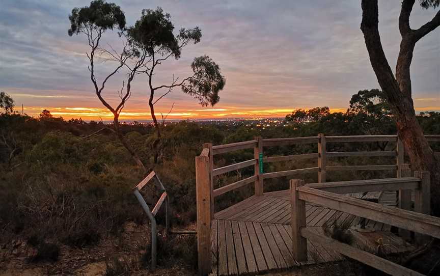 The Pines Flora and Fauna Reserve, Frankston North, VIC