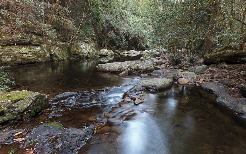 Telegherry River: Chichester State Forest, Upper Karuah River, NSW