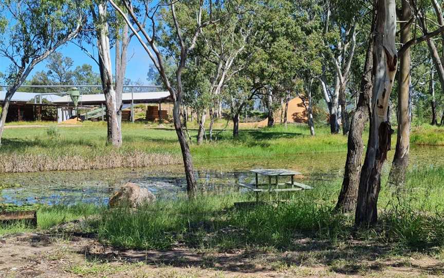 Chinaman's Lagoon, Miles, QLD