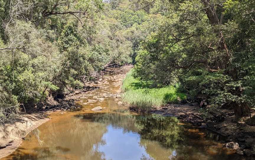 Piles Creek loop, Somersby, NSW