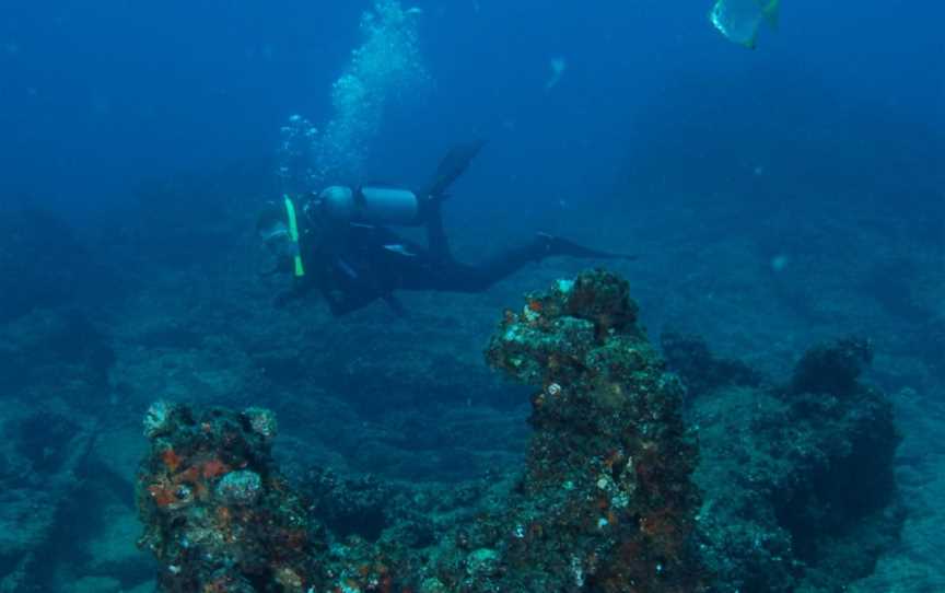 Marietta Dal Shipwreck Dive Site, Moreton Island, QLD