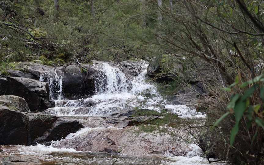 Mount Samaria State Park, Bridge Creek, VIC