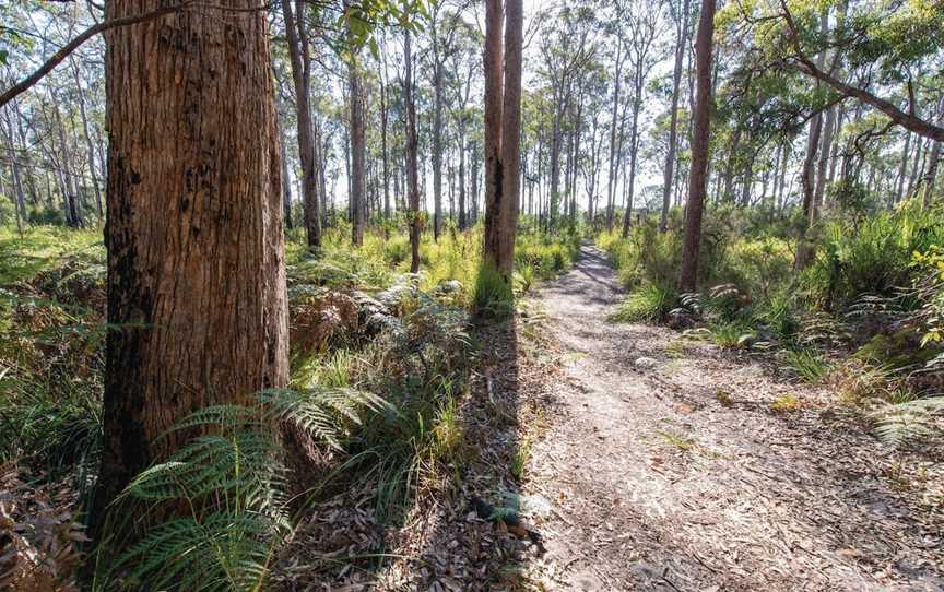 Nadgee Wilderness Walk, Nadgee, NSW