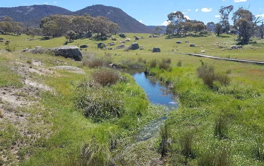 Yankee Hat, Tharwa, ACT