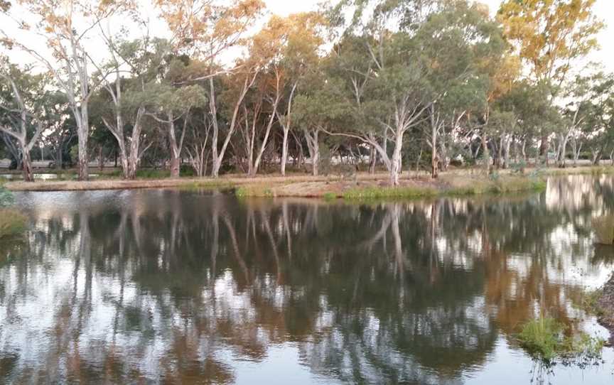 The Wetlands - Wyalong, Wyalong, NSW