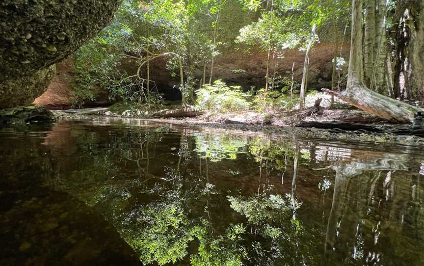 Newbys Creek walk and caves, Lansdowne Forest, NSW