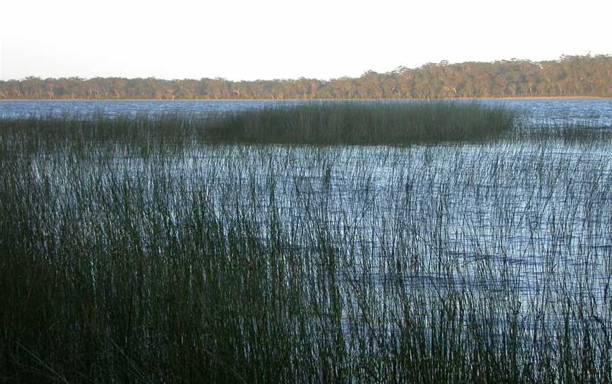 Yuraygir National Park, Minnie Water, NSW