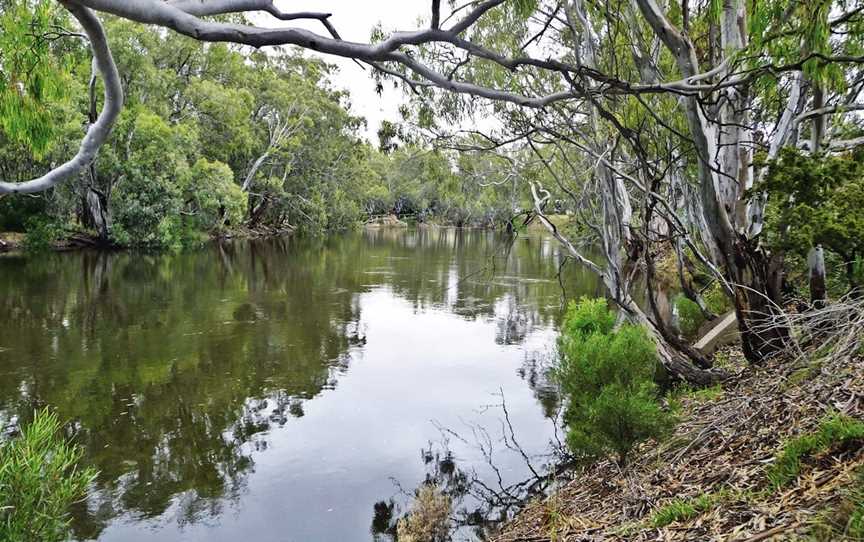 Orara River, Glenreagh, NSW