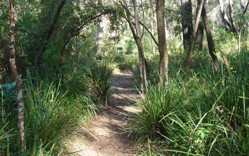 Great North Walk – Ku-ring-gai Chase National Park, Cowan, NSW