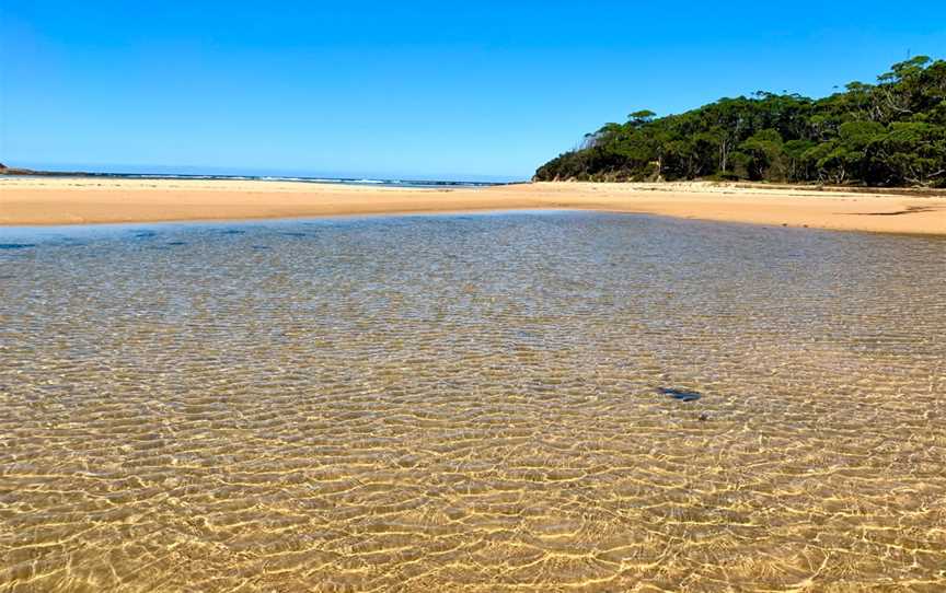 Bithry Inlet, Tanja, NSW