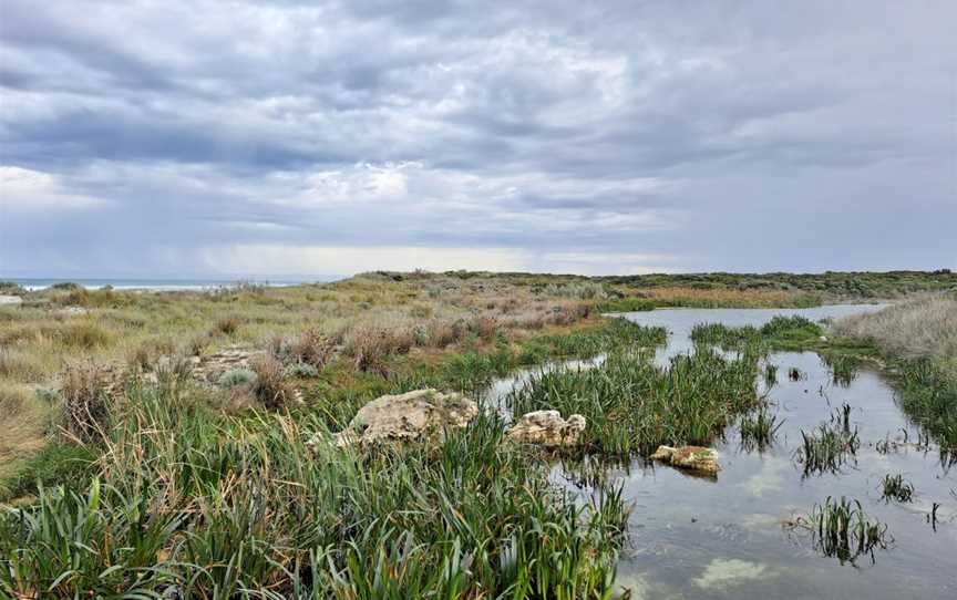 Piccaninnie Ponds Conservation Park, Wye, SA