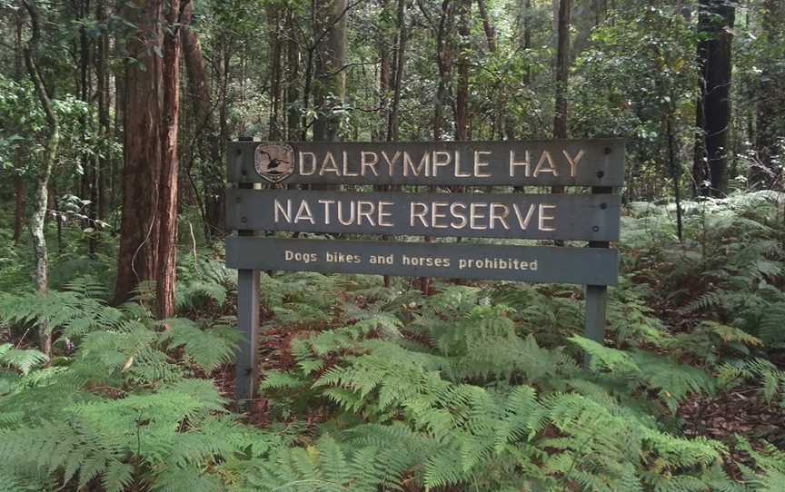 Dalrymple-Hay Nature Reserve, Pymble, NSW