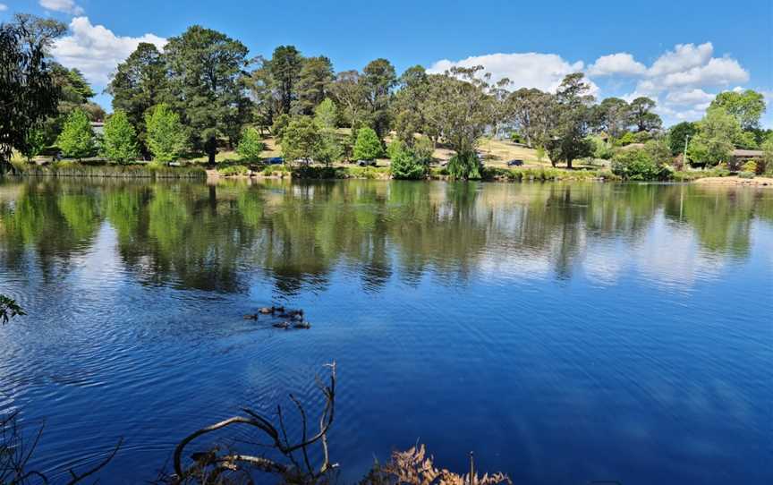 Lake Alexandra Reserve, Mittagong, NSW