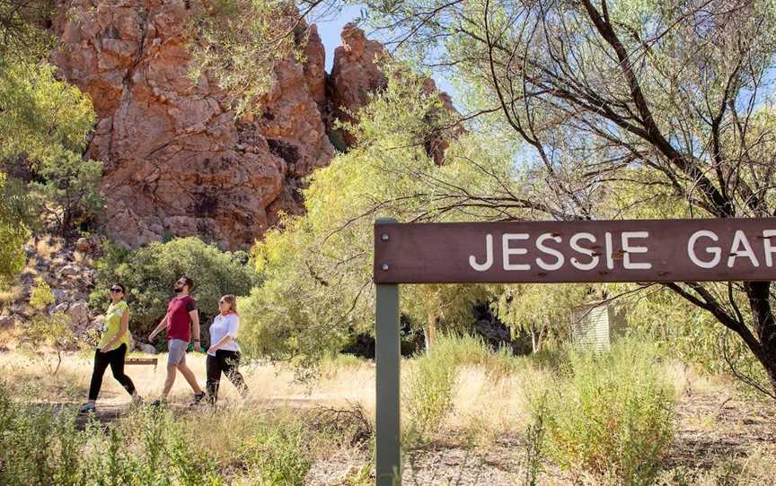 Yeperenye / Emily and Jessie Gaps Nature Park, Alice Springs, NT