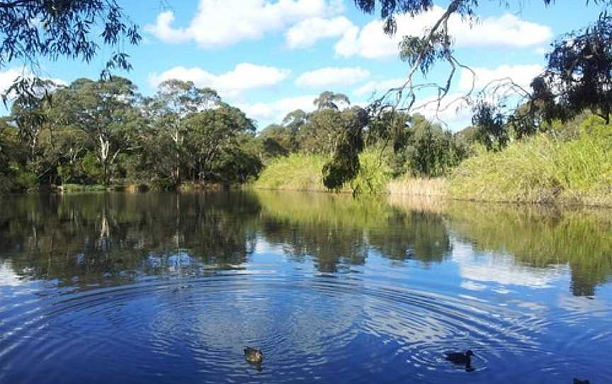 Wittunga Botanic Garden, Adelaide, SA