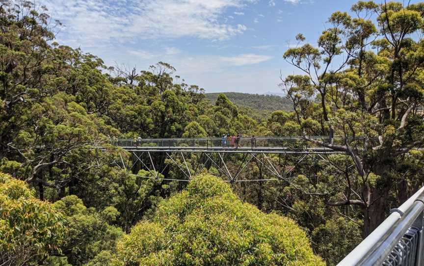 Walpole-Nornalup National Park, Walpole, WA