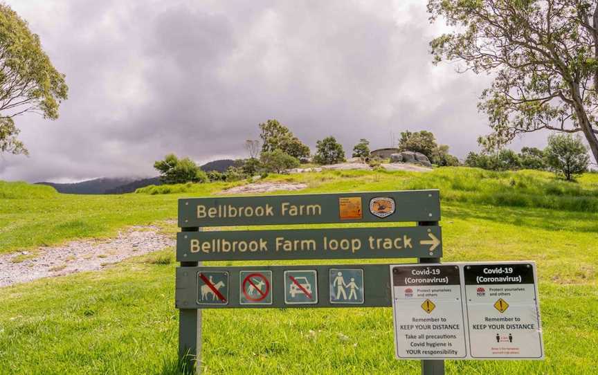 Bellbrook Farm Loop Walk, Central Tilba, NSW