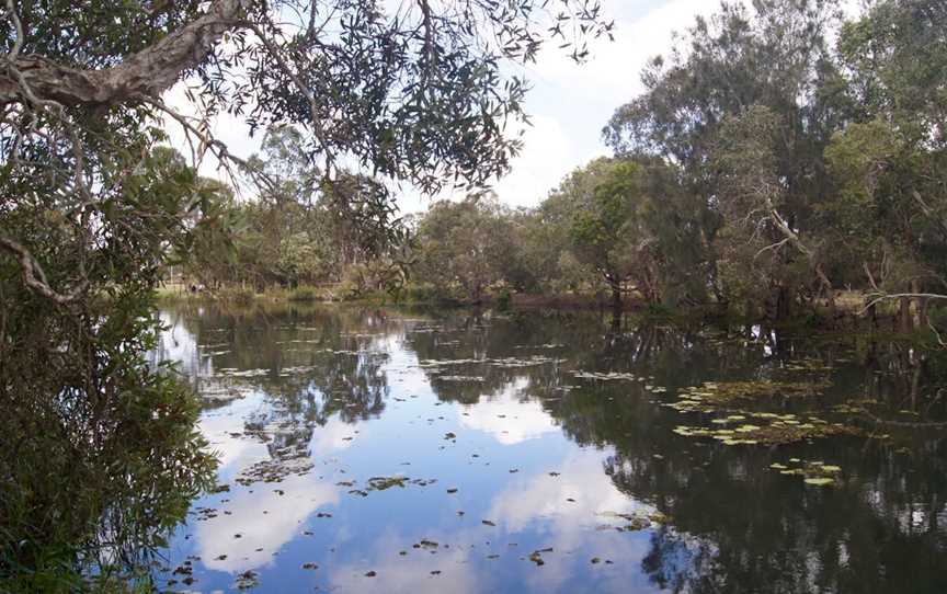 Baldwin Swamp Environmental Park, Bundaberg East, QLD