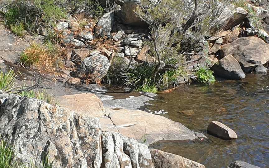The Falls Water Falls, Summer Hill Creek, NSW