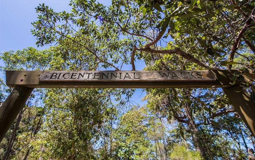 Bribie Island Bicentennial Trails, Banksia Beach, QLD