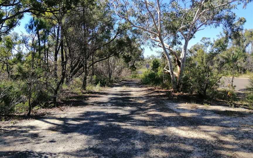 Three Views walking track, Moollattoo, NSW
