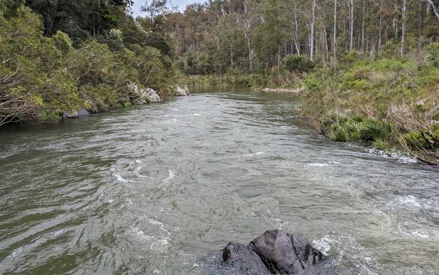 Nymboi-Binderay National Park, Wild Cattle Creek, NSW