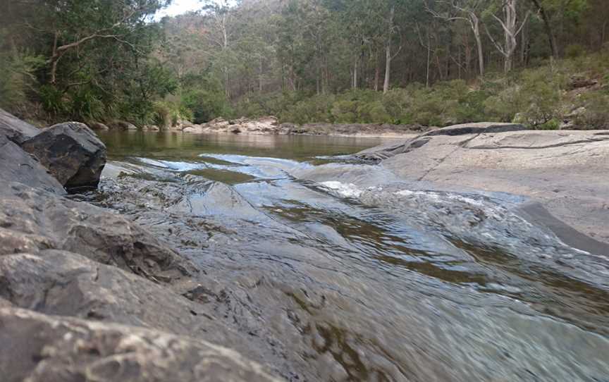Nymboi-Binderay National Park, Wild Cattle Creek, NSW