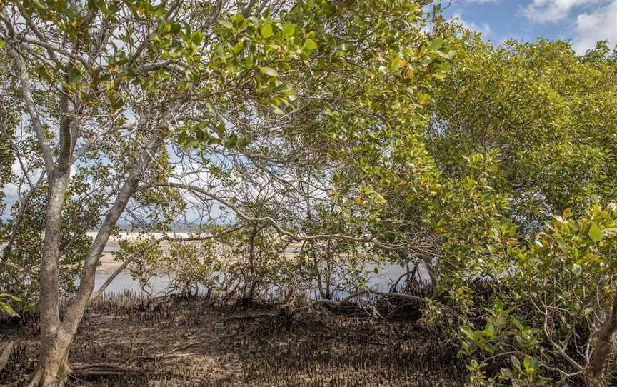 Buckley's Hole Conservation Park, Bongaree, QLD