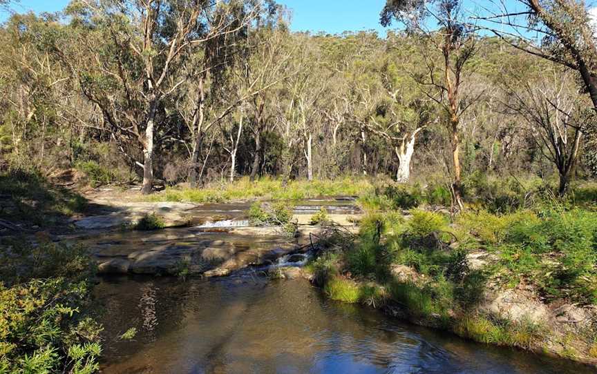 Bargo State Conservation Area, Wattle Ridge, NSW