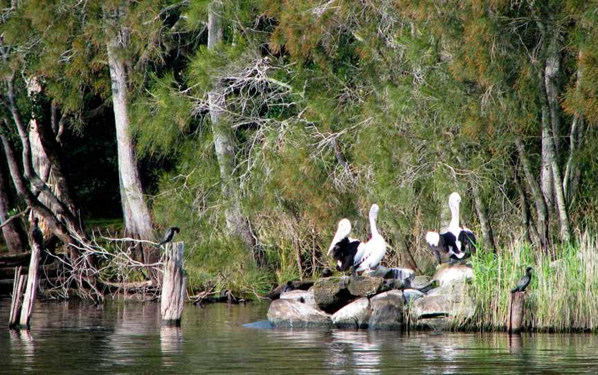 Myall Lakes National Park, Mungo Brush, NSW