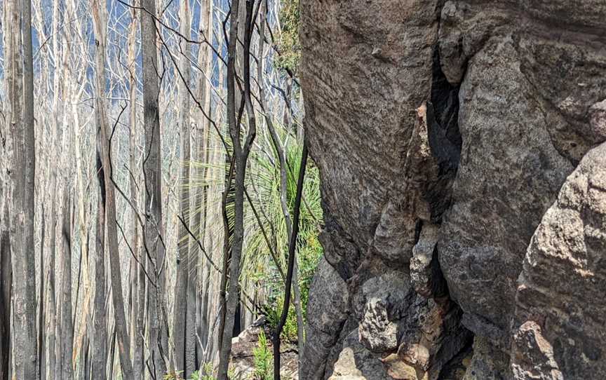 Mount Imlay National Park, Towamba, NSW